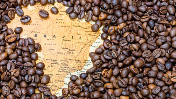 Frente a los aranceles de Trump, China autoriza a nuevas empresas brasileras a exportar café a su país