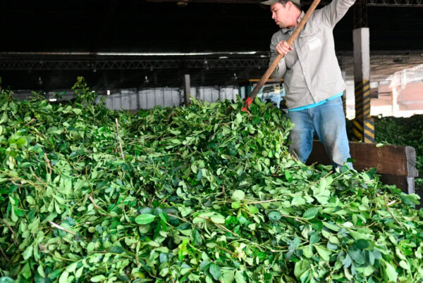 Aseguran que el acuerdo UE-Mercosur es una amenaza mortal para los productores argentinos