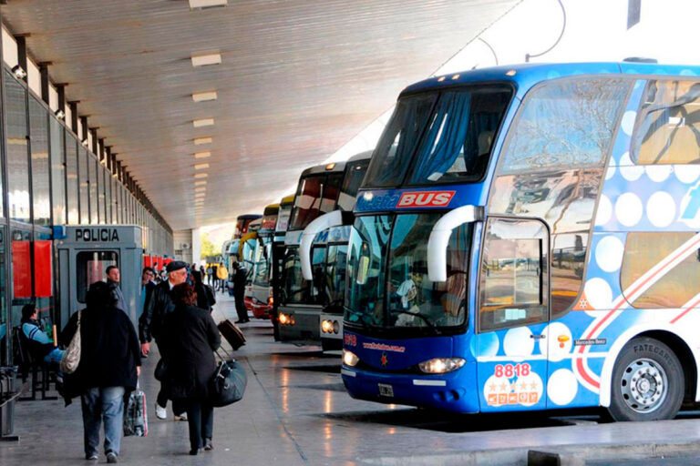 Milei elimina el subsidio que garantizaba pasajes gratuitos a personas con discapacidad, trasplantados y niños con cáncer