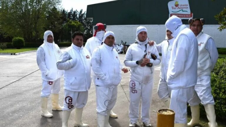 Crisis y cierre de empresas: Granja Tres Arroyos ofrece pagar con pollos parte de los salarios