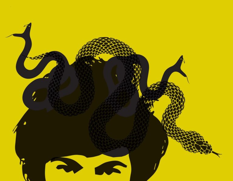 La construcción del Estado Libertario