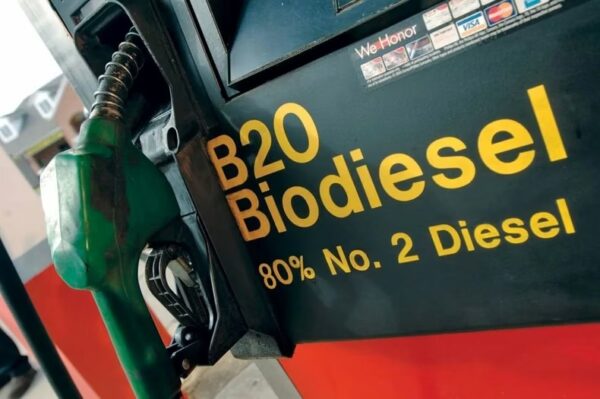 La ley de biodiesel que impulsa Bullrich pone en jaque a decenas de pymes